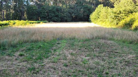 Foto 5 de Terreny en venda a Tui, Pontevedra