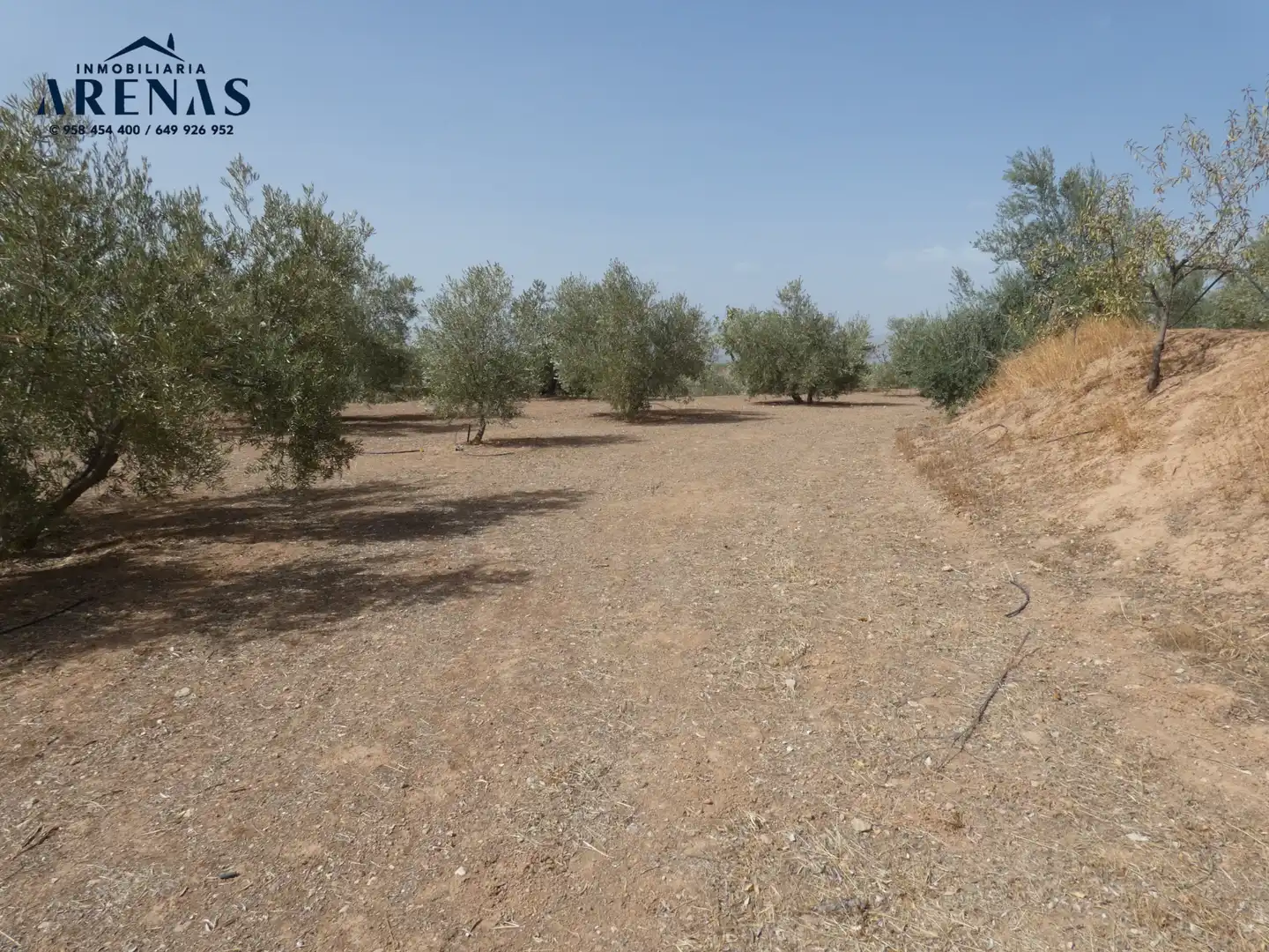 Terreni e lotti in vendita a Cogollos de la Vega, imagen 11