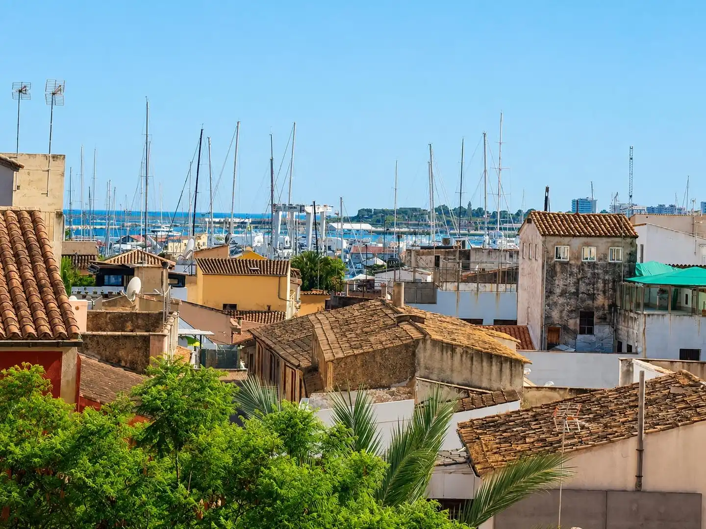 Vista exterior de Apartamento en venta en  Palma de Mallorca