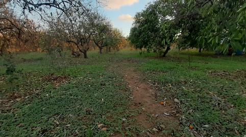 Foto 5 de Casa o chalet en venta en Pedanías Norte, Utrera