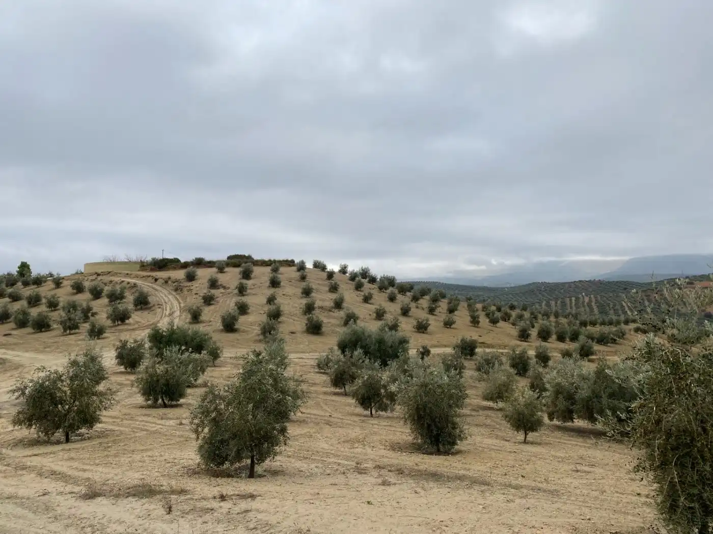 Casa rustica in vendita a Huétor Tájar, imagen 5