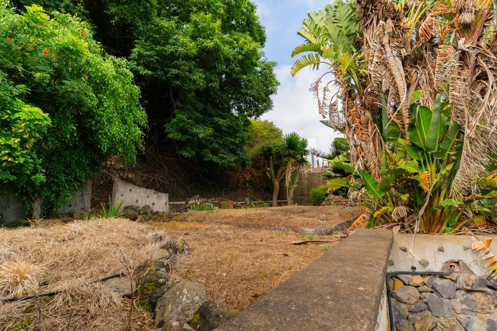 Maison rustique avec jardin à vendre à La Perdoma - San Antonio - Benijos, imagen 20