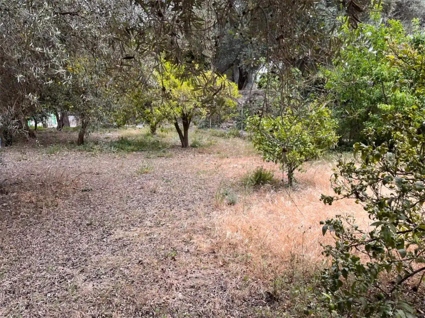 Residencial en venda en El Pinar, Granada