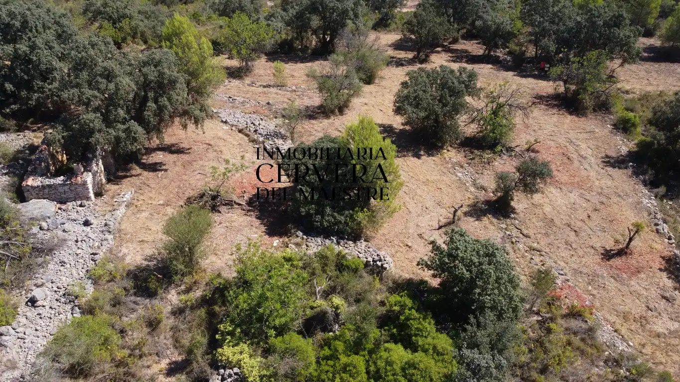 Terreno rustico in vendita a Cervera del Maestre, imagen 22