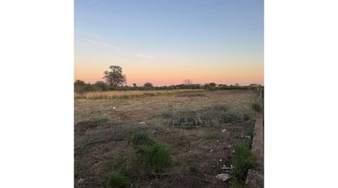 Photo 4 of Land for sale in Camino Mar, Piscinas, Vila-real