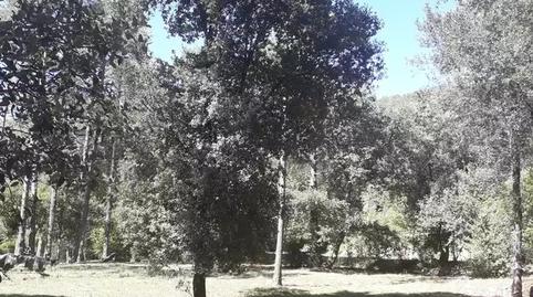 Foto 4 de Finca rústica en venda a Montagut i Oix, Girona