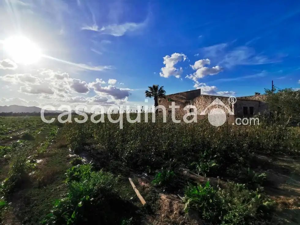 Villa à vendre à Cam. Cementerio, imagen 2