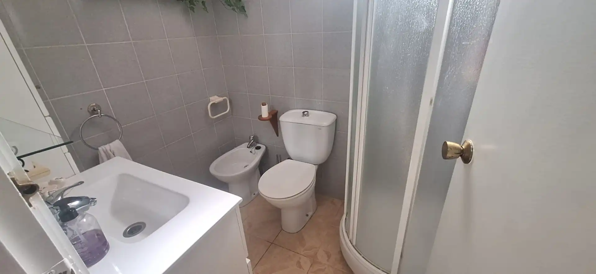 Casa o chalet en venta en Avinguda Til·lers, Mas Alba
