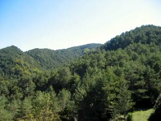 Vista exterior de Finca rústica en venta en Les Llosses