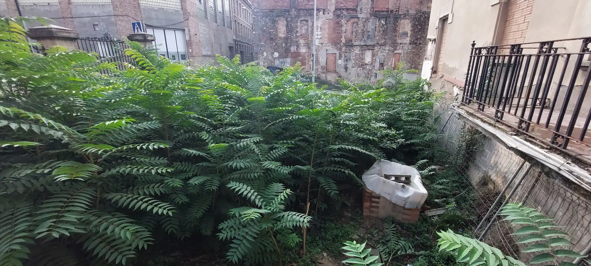 Jardí de Casa o xalet en venda en Igualada amb Jardí privat, Terrassa i Balcó