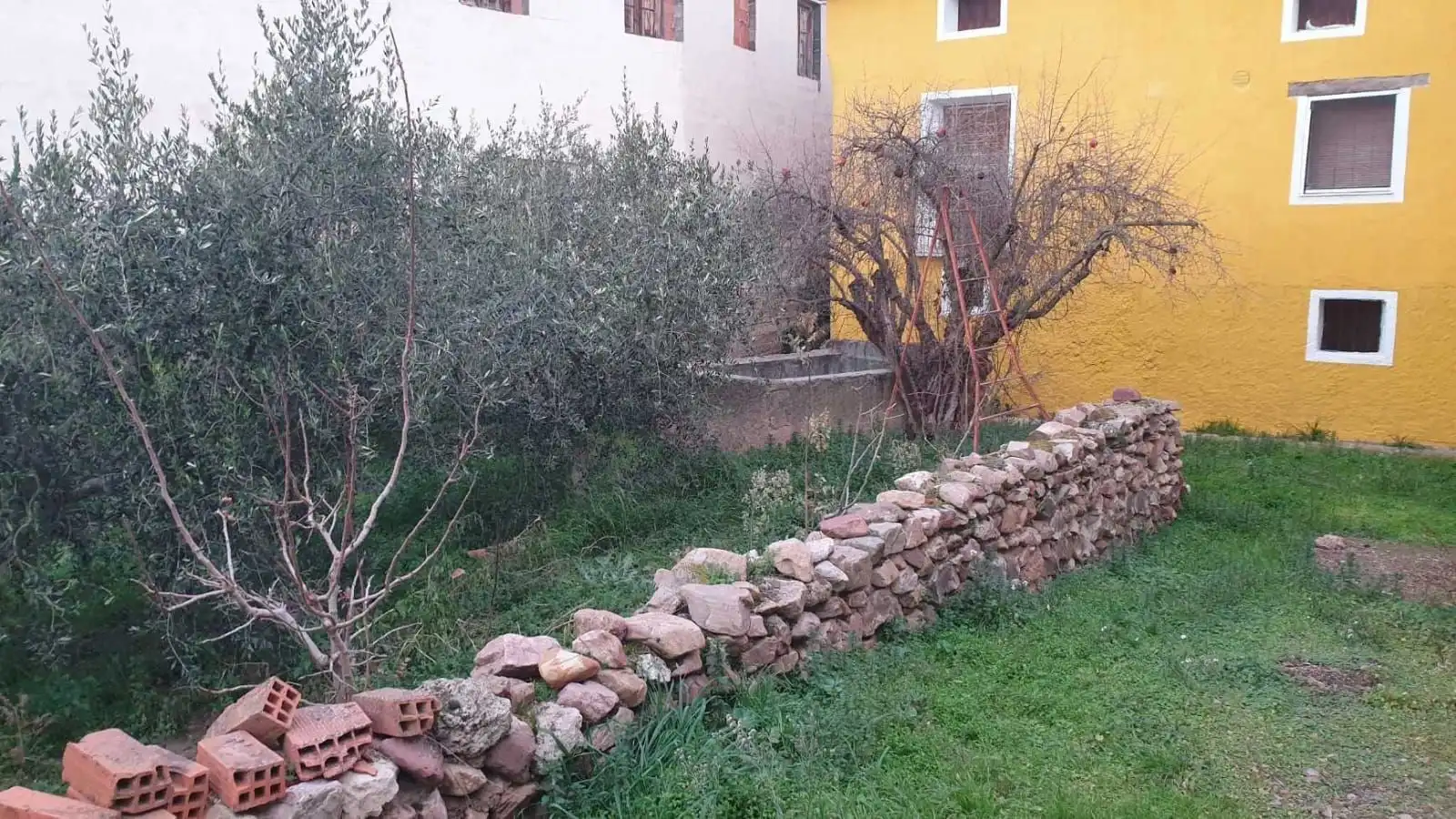Jardín de Casa o chalet en venta en Orera