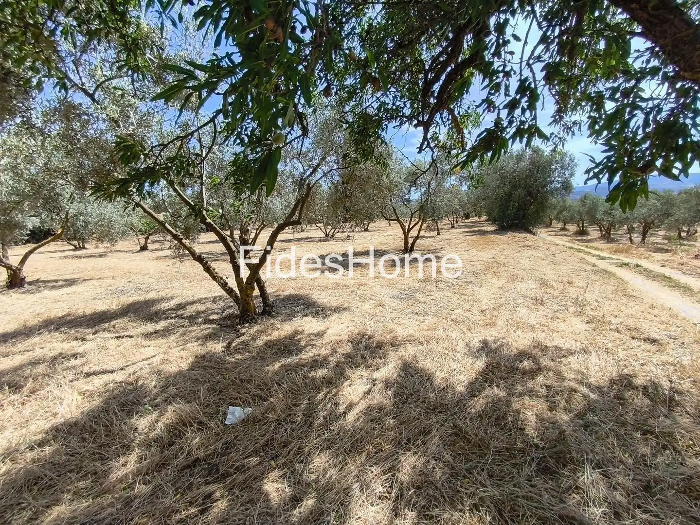 Rural land for sale in XFJ3+526 Nigüelas 0, imagen 22