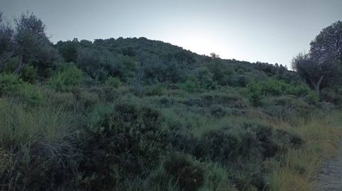 Foto 4 von Grundstücke zum Verkauf in Poligono Mont de Roda, Isábena, Huesca