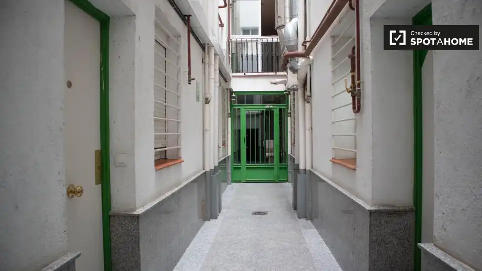 Room in Embajadores - Lavapiés