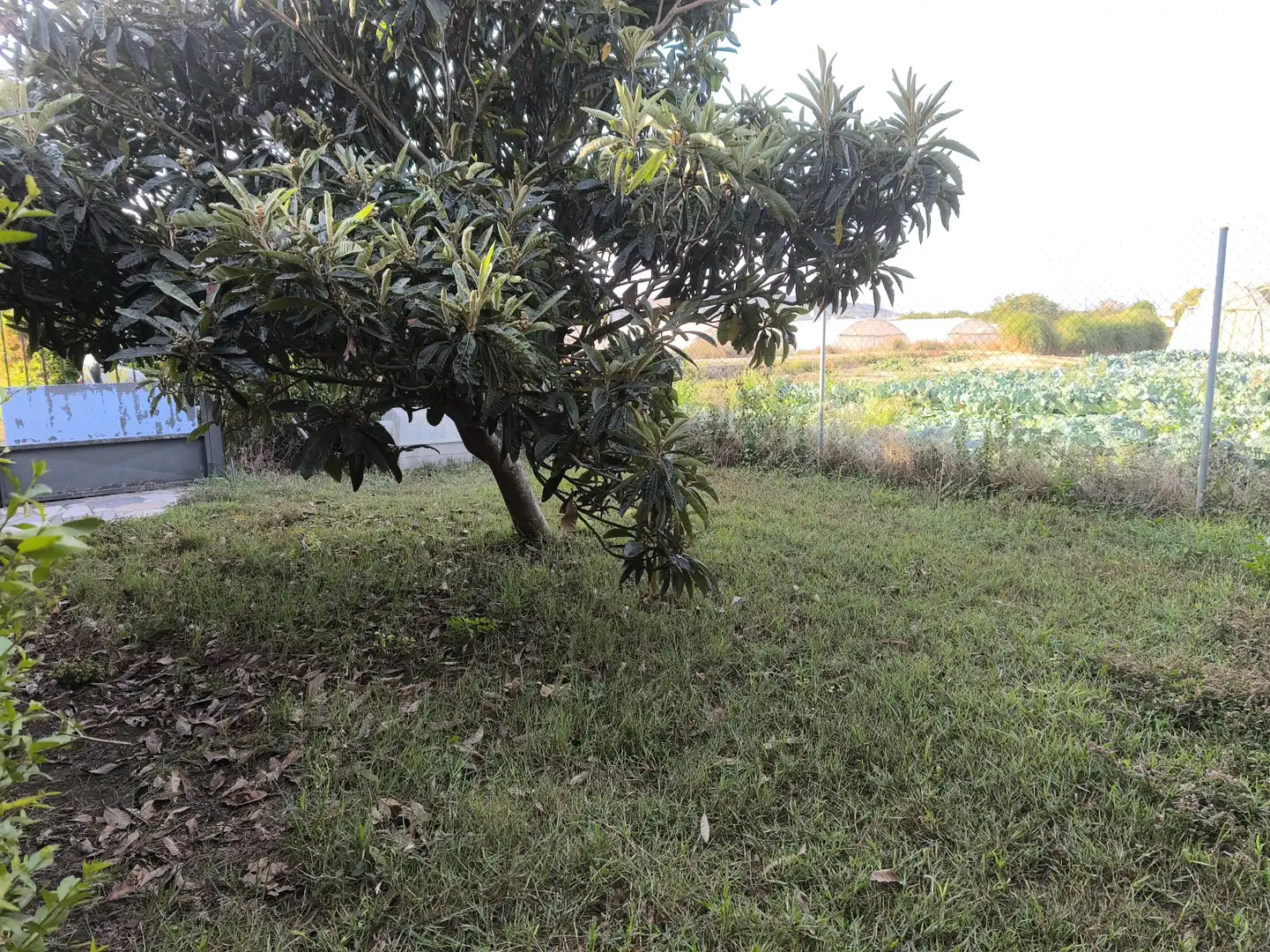 Land for sale in  Logroño