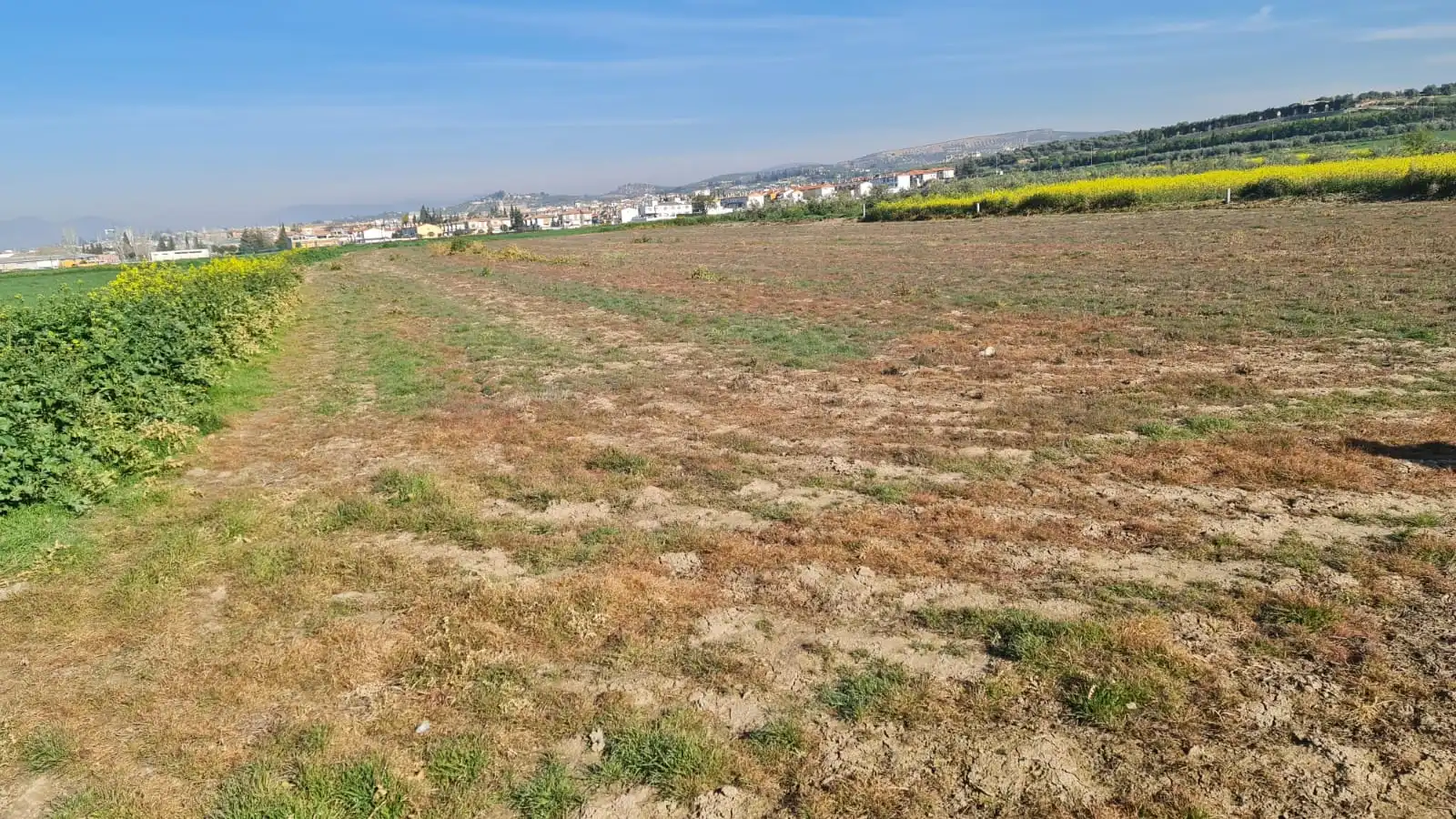 Rustikales Grundstück zum Verkauf in Avenida de Cartuja, imagen 2
