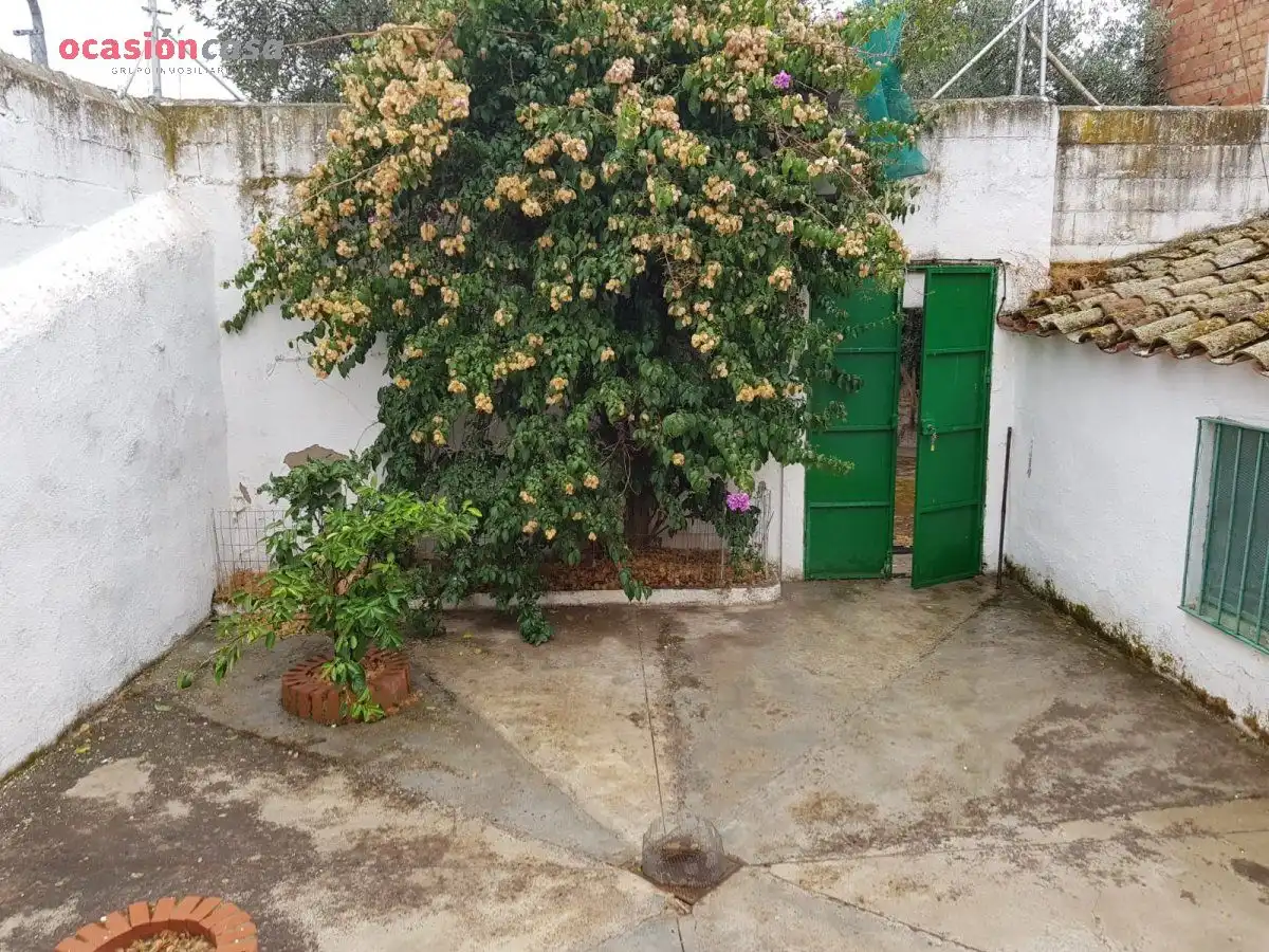 Jardín de Casa o chalet en venta en Pedroche con Calefacción, Jardín privado y Trastero