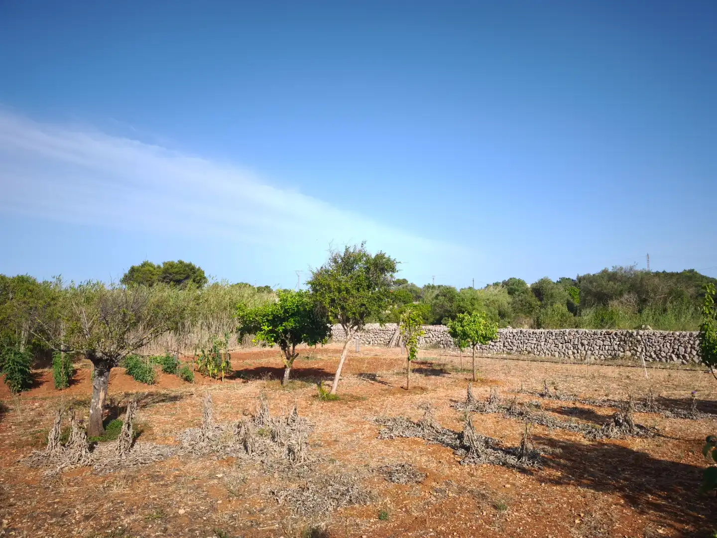 Casa rústica amb jardí en venda a Sant Lluís - S'Ullestrar - Torret, imagen 21
