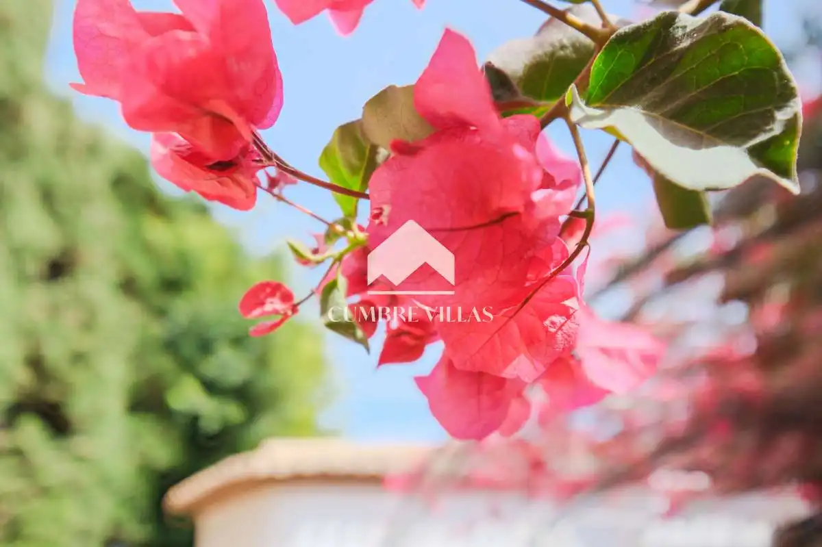 Vista exterior de Casa o xalet en venda en Salobreña amb Jardí privat, Terrassa i Piscina comunitària