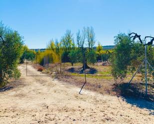 Land for sale in Villarrasa