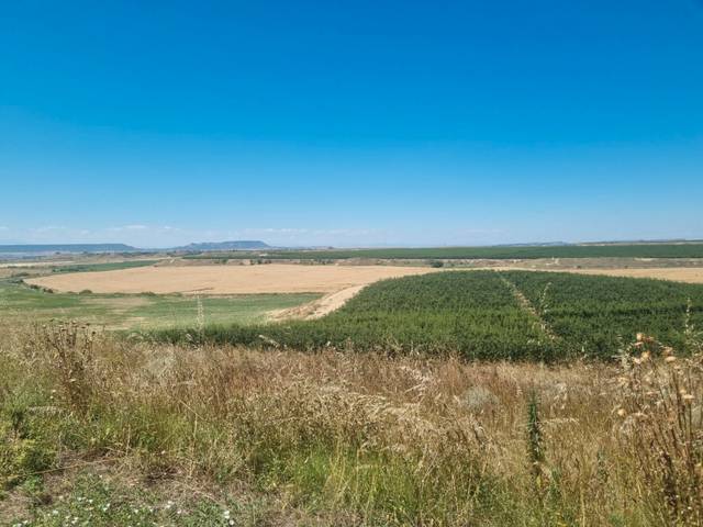 Terreno en Venta en La Fama