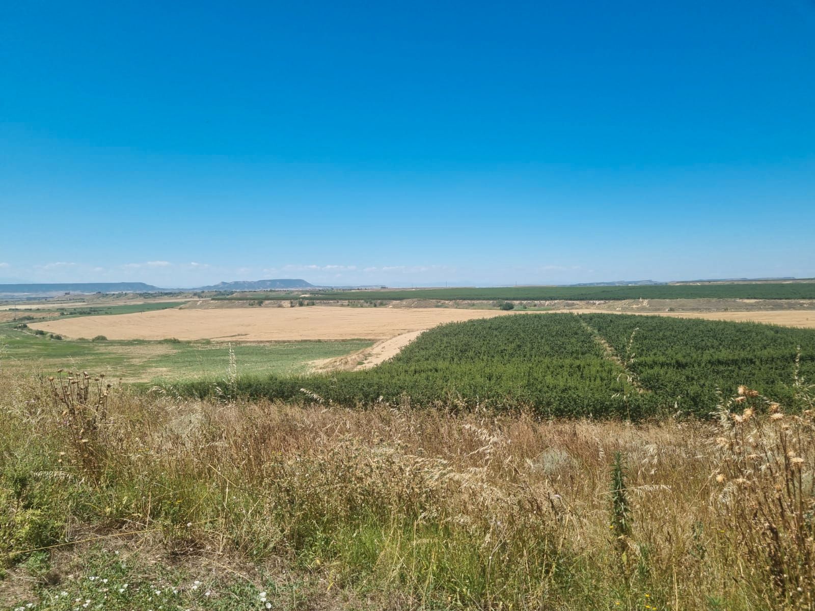 Land for sale in  Murcia Capital