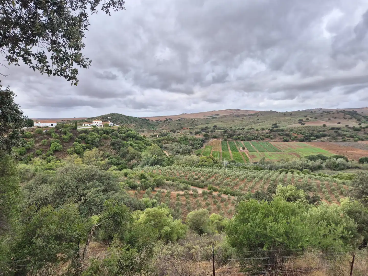Finca rústica en venda en Puerto Serrano amb Aire condicionat, Calefacció i Jardí privat