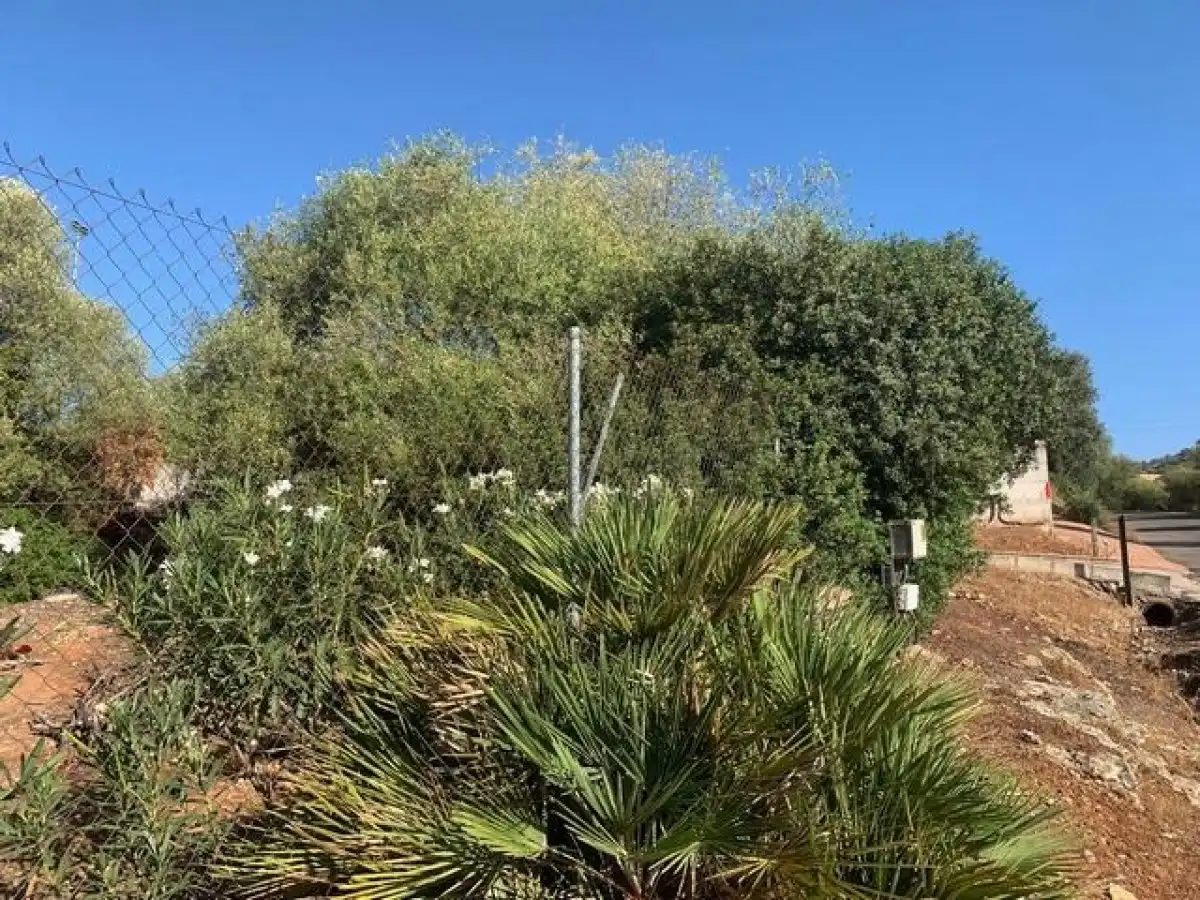 Residential land for sale in Almodóvar del Río