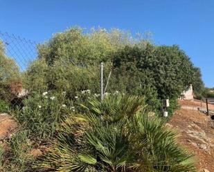 Industrial land for sale in Almodóvar del Río