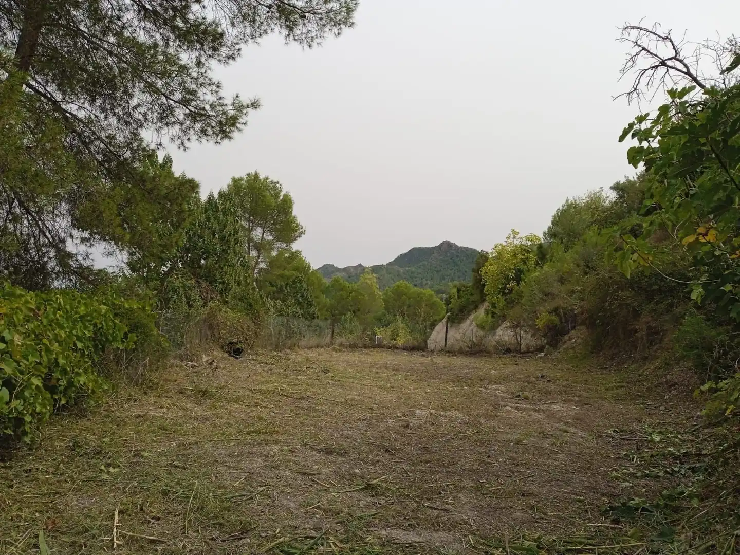 Terreno residencial en venta en Xàtiva, imagen 2