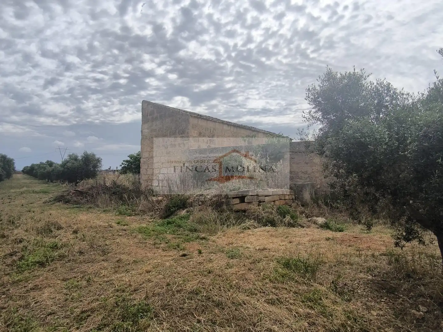 Terrenys i solars en venda a Sa Pobla, imagen 6