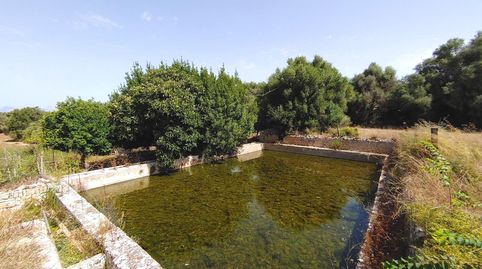 Foto 4 de Finca rústica en venta en Polígono Polígono 14 Parcela 206, Algaida, Illes Balears