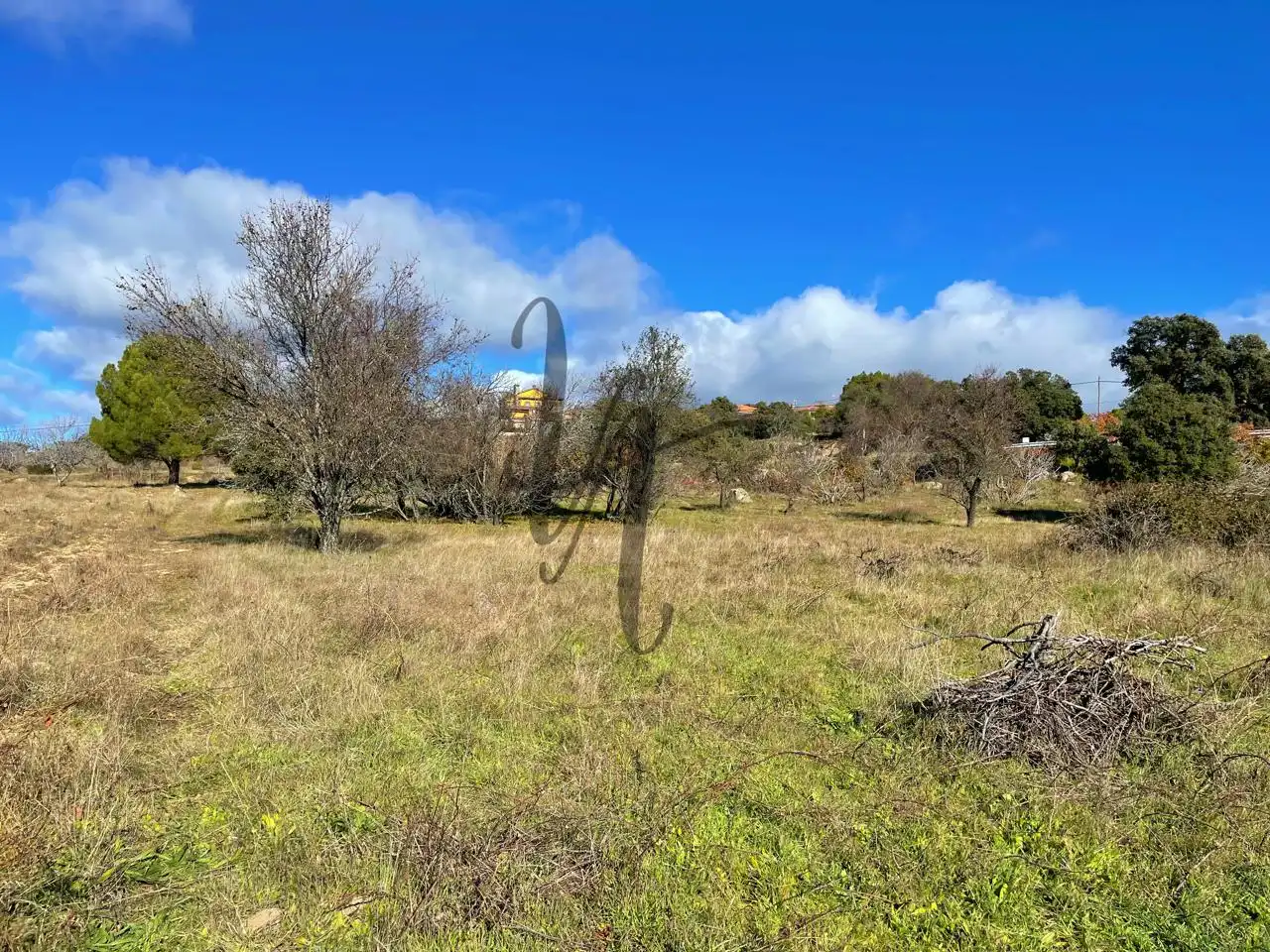 Terreno rústico en venta en paraje castellana, imagen 7