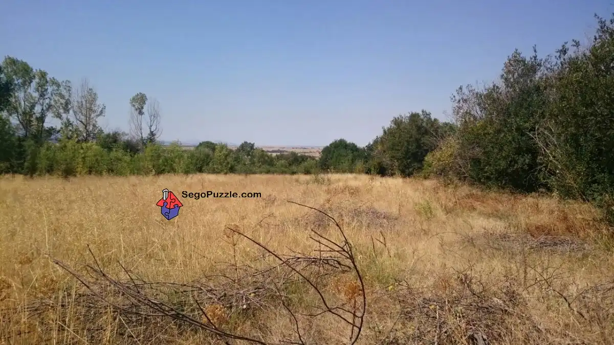 Terreni e lotti in vendita a Palazuelos de Eresma, imagen 3