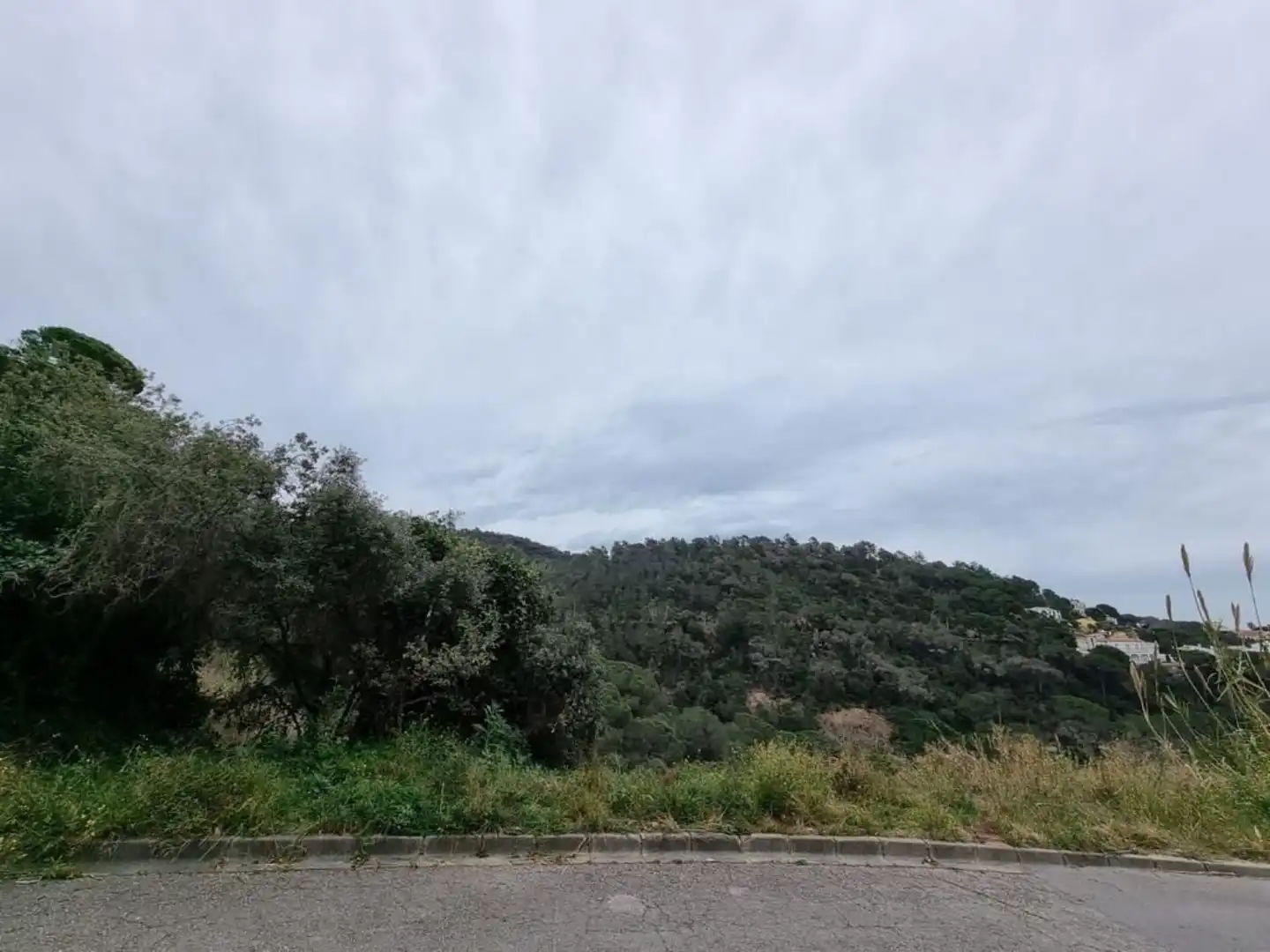 Terrenos y solares en venta en Serra Brava, imagen 14