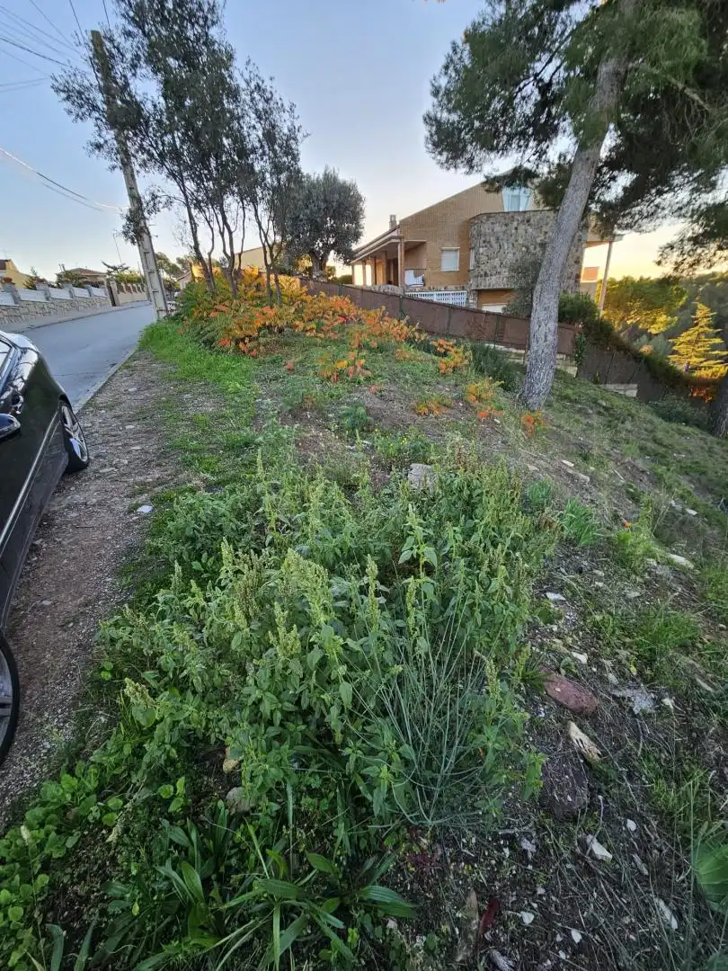 Terreny residencial en venda a de la Carena, imagen 4