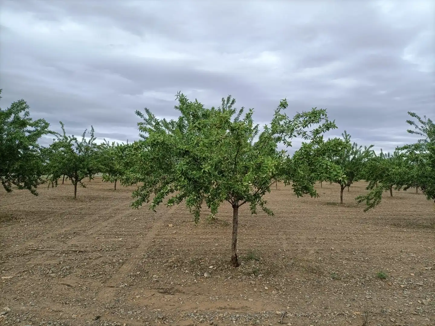 Terreno rustico in vendita a Nambroca, imagen 7