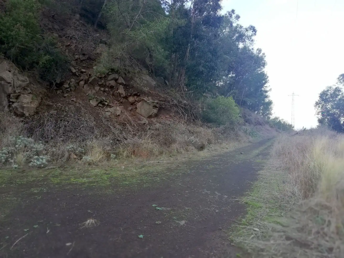 Terreno en venta en Isogue, polígono 7, parcela 39, 1, Punta del Hidalgo