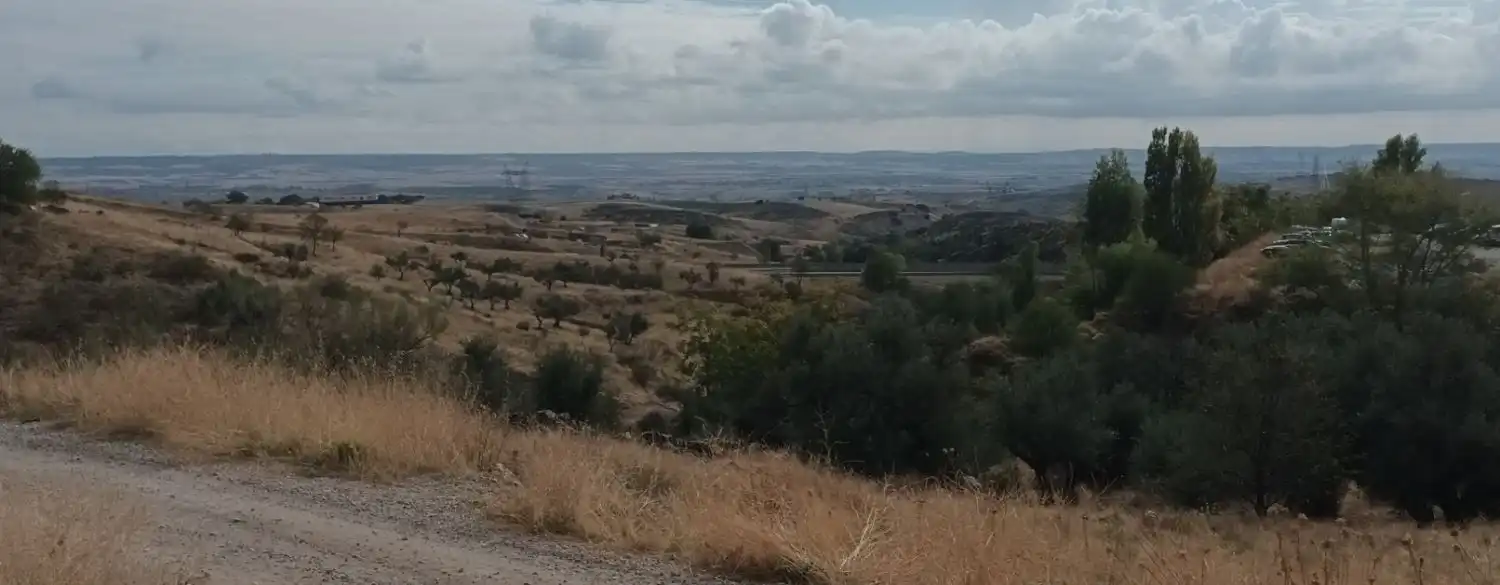 Finca rústica en venda en Orusco de Tajuña