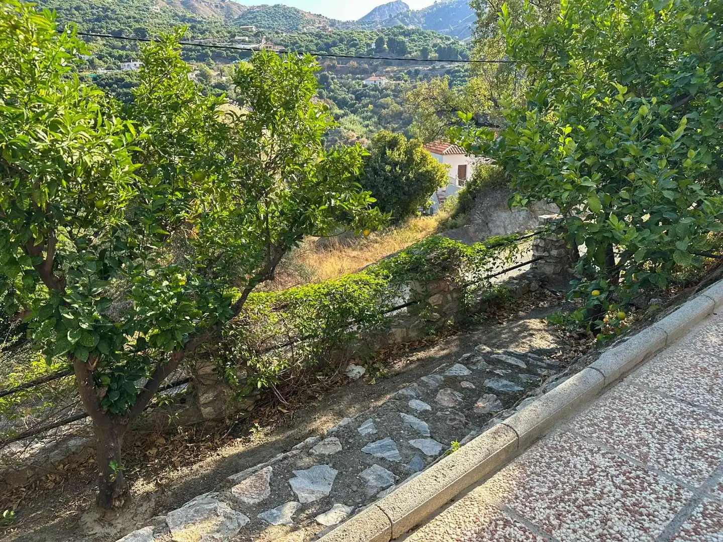 Vista exterior de Apartamento en venta en Los Guájares con Terraza y Alarma