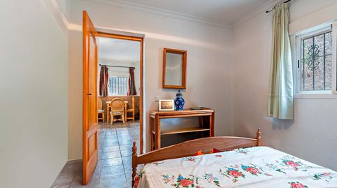 FINCA RUSTICA PRODUCTIVA, immagine 4