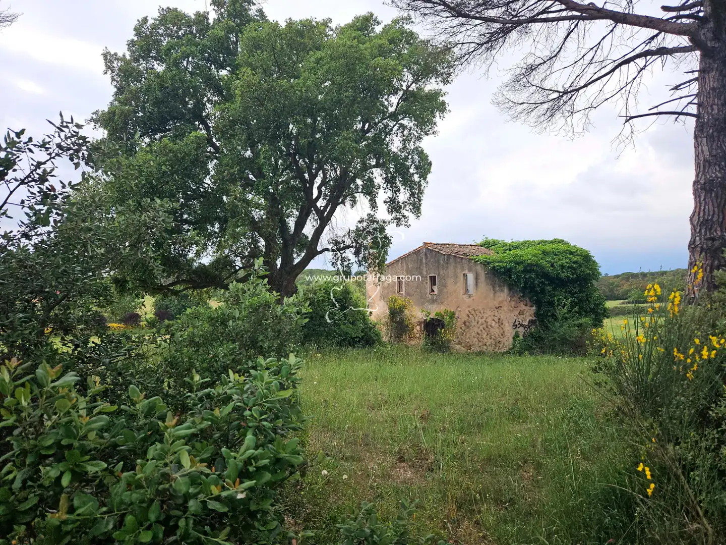 Country house zum Verkauf in Maçanet de la Selva