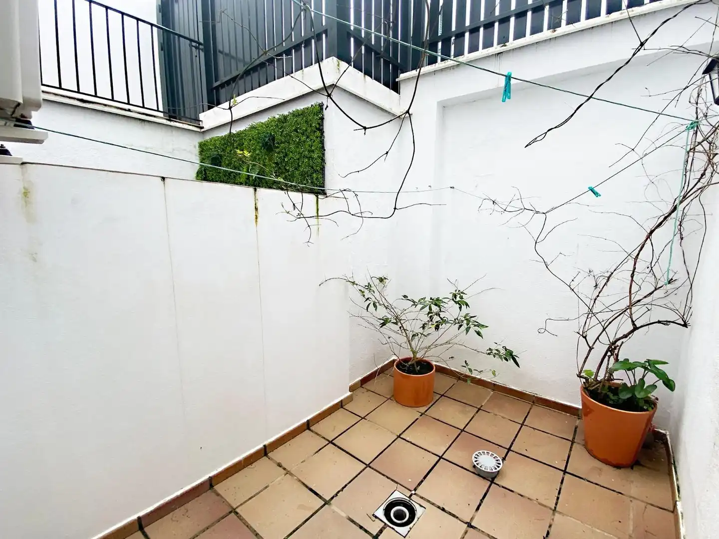 Casa amb terrassa en venda a Calle El Ejido, imagen 24