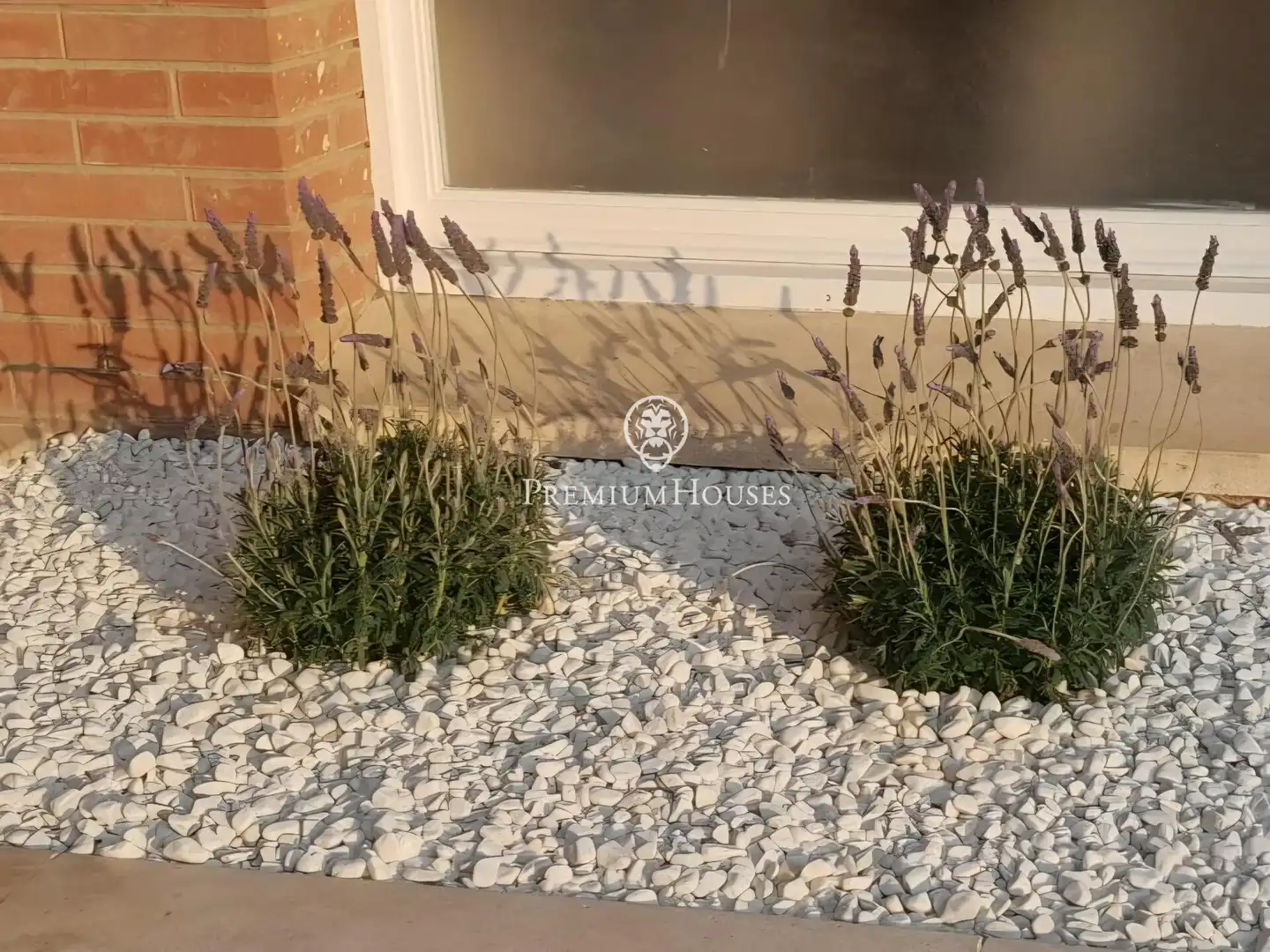 Planta baixa de lloguer en Sant Andreu de Llavaneres amb Aire condicionat, Calefacció i Jardí privat