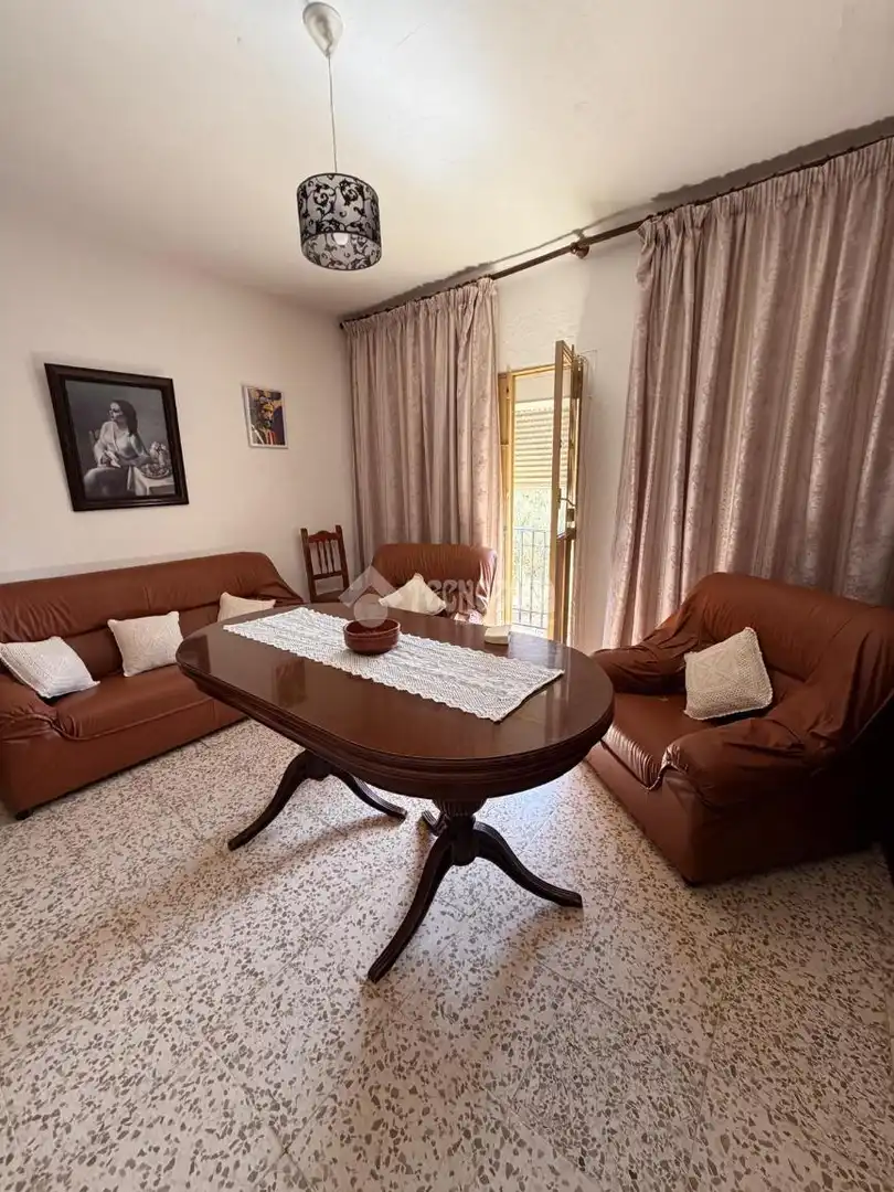 Sala de estar de Casa o chalet en venta en Antequera con Terraza