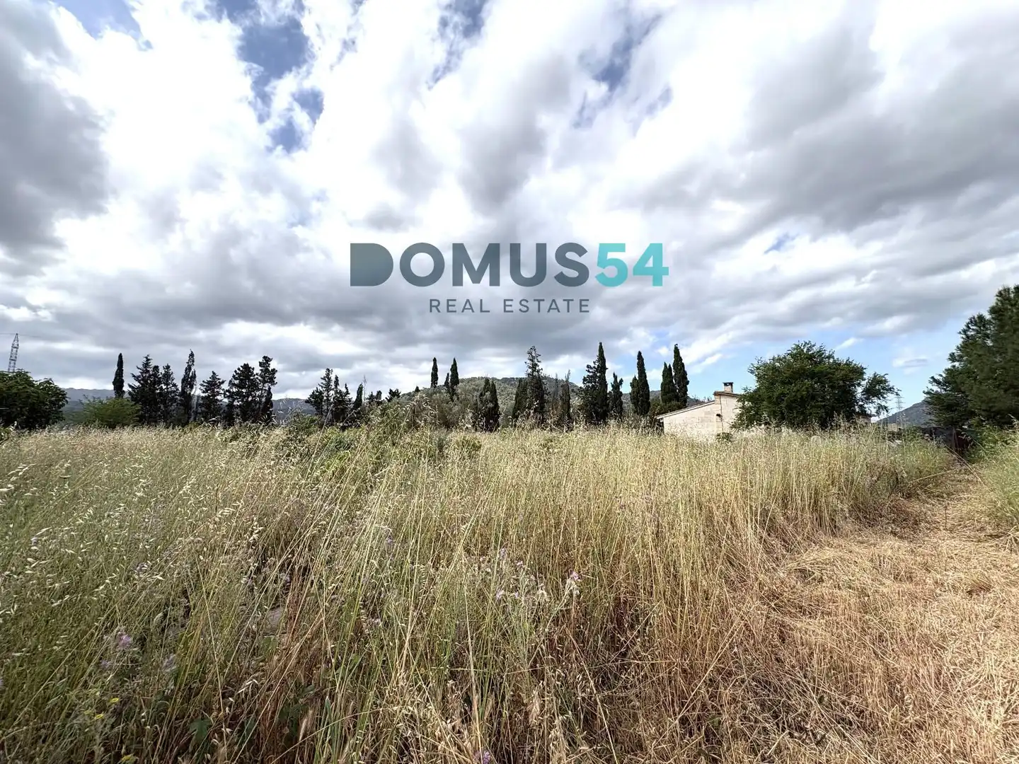 Finca rústica en venta en Sa Pobla