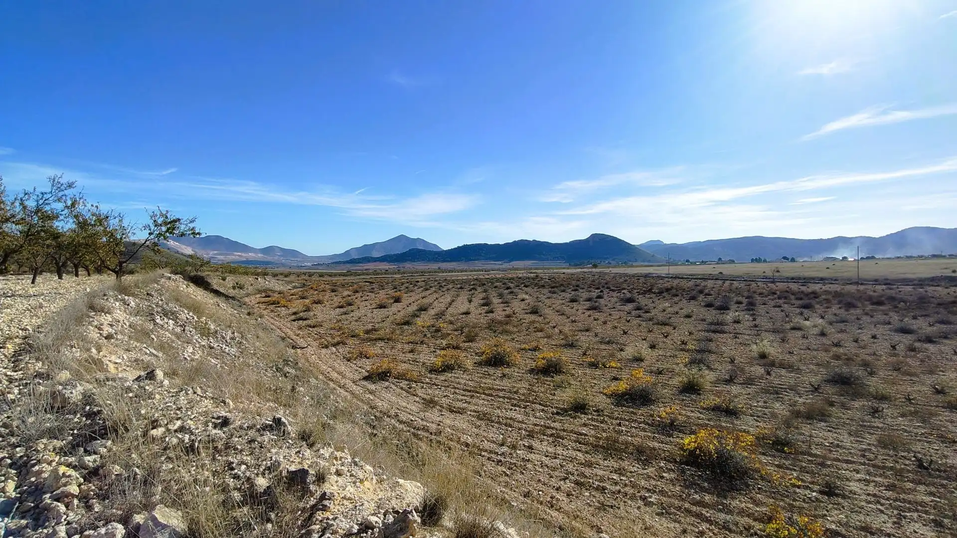 Lands and plots for sale in Abanilla, imagen 18