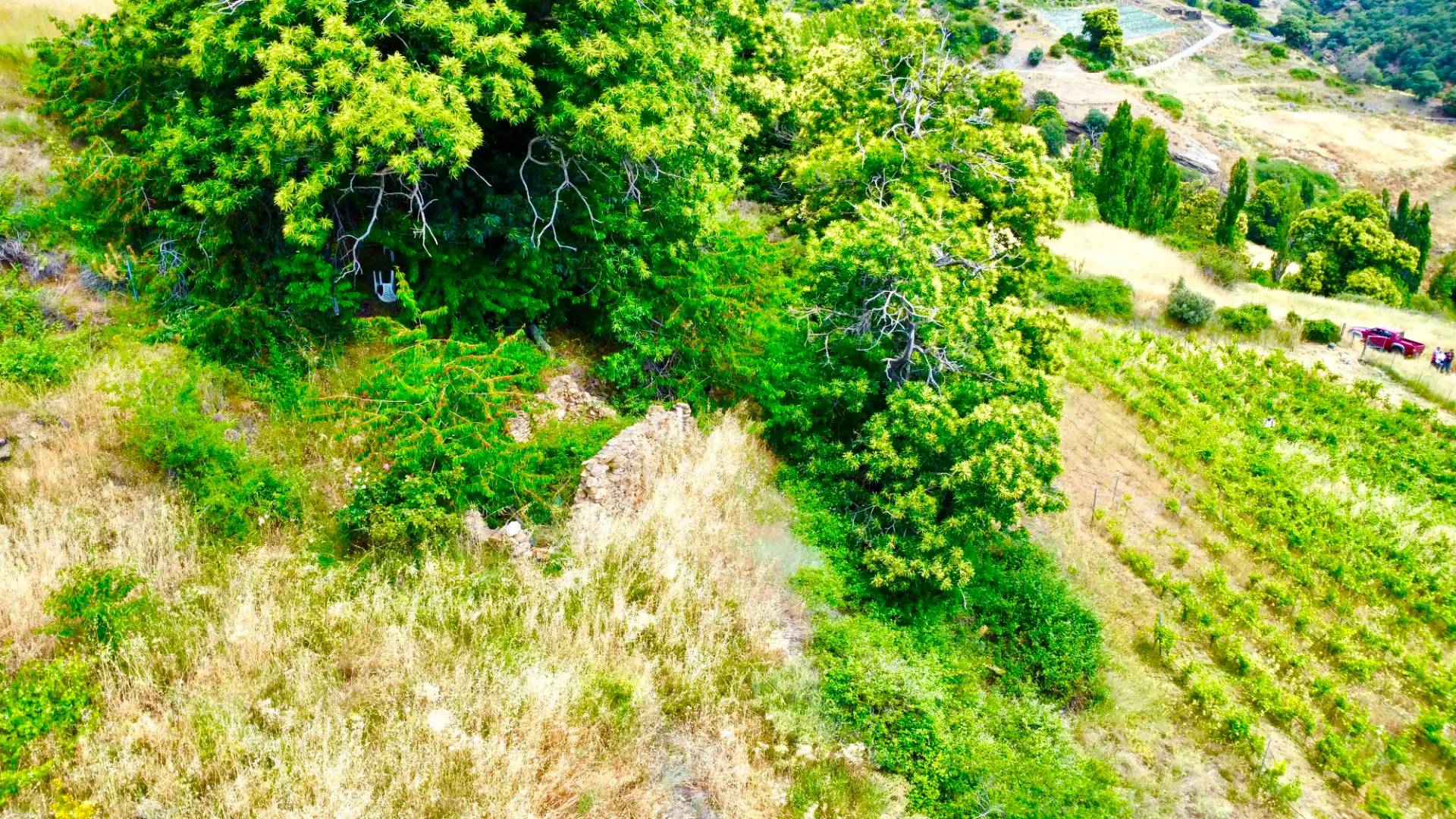 Terreni e lotti in vendita a Alpujarra de la Sierra, imagen 37