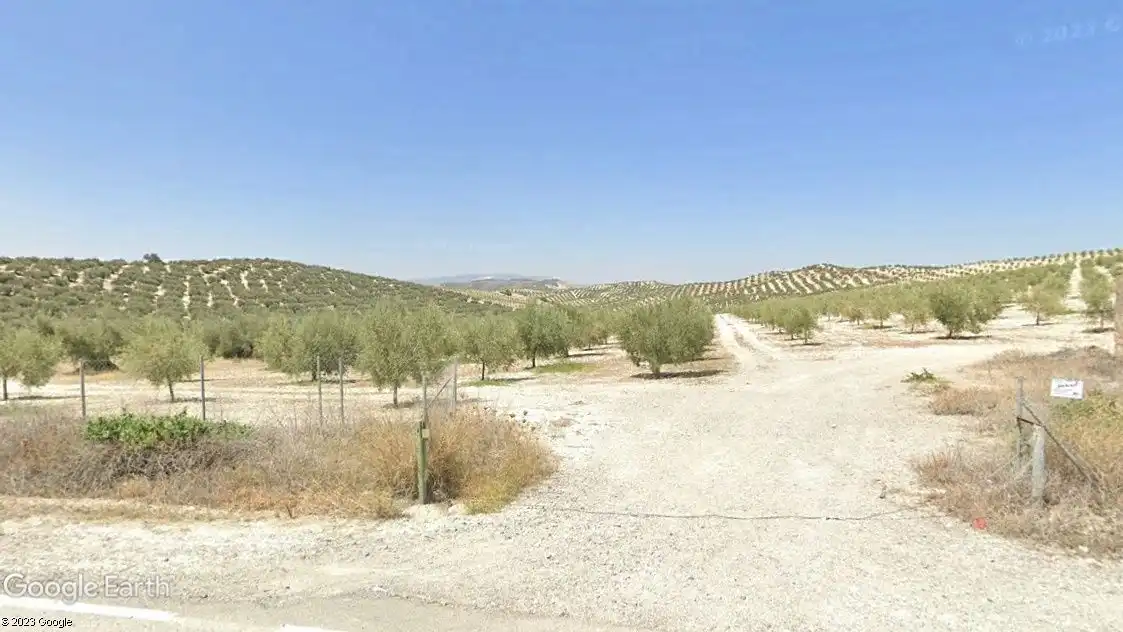 Terreny rústic en venda a Aguilar de la Frontera, imagen 2