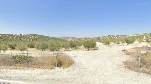FINCA DE OLIVOS, OPCIÓN DE SONDEO Y VIVIENDA., imatge 2
